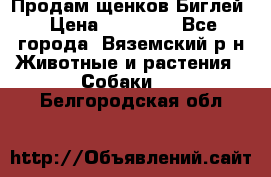 Продам щенков Биглей › Цена ­ 15 000 - Все города, Вяземский р-н Животные и растения » Собаки   . Белгородская обл.